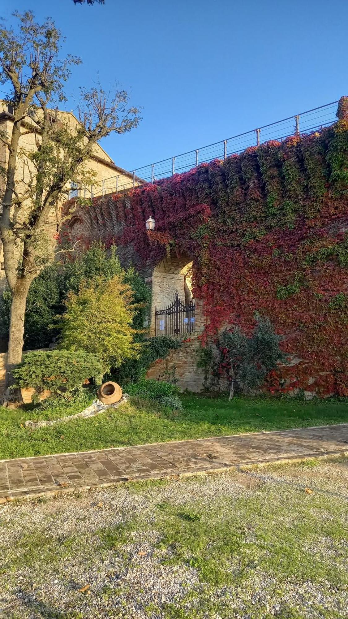Novecento Apartment Bertinoro Bagian luar foto